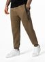 Coyote Brown